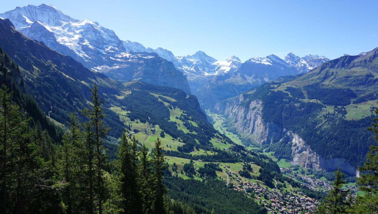Alpenkraeuter Baeren Wengen