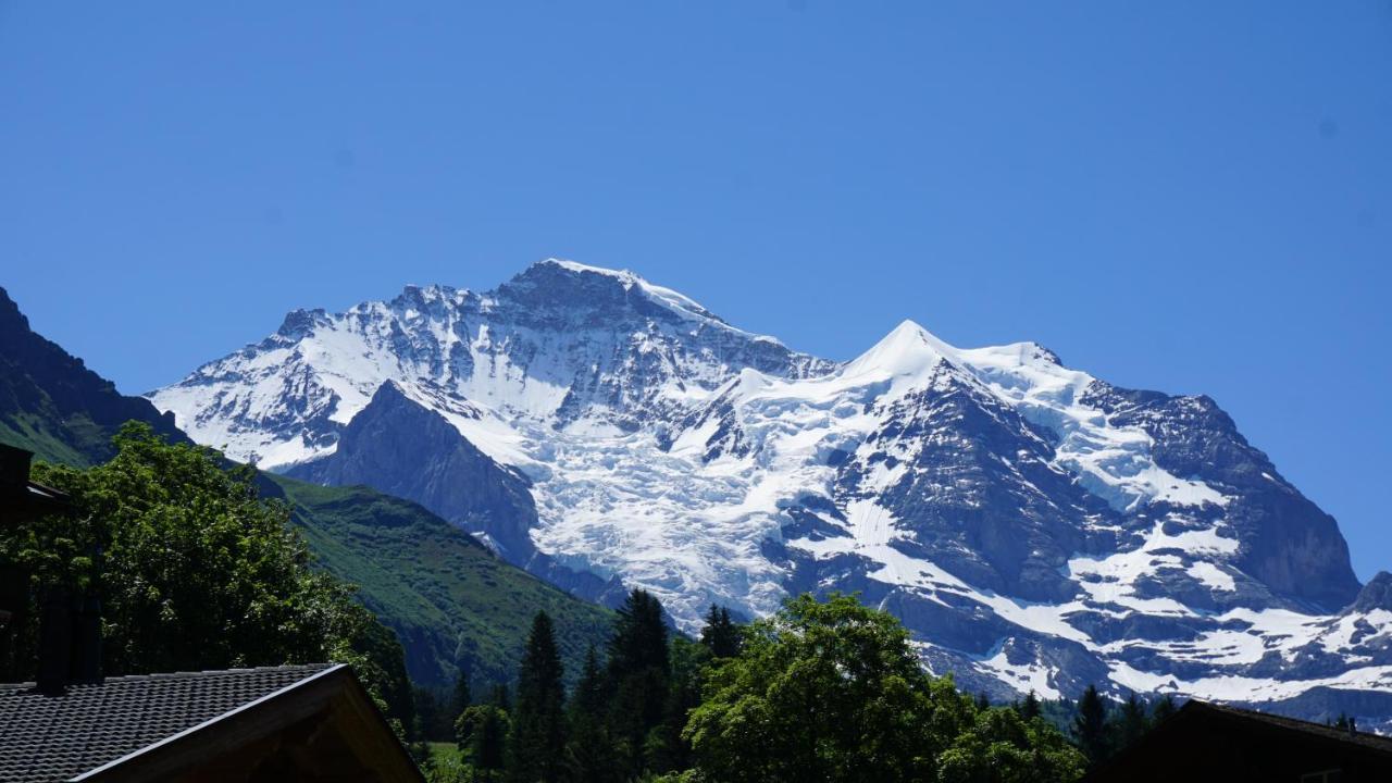 Alpenkraeuter Baeren 3* Wengen