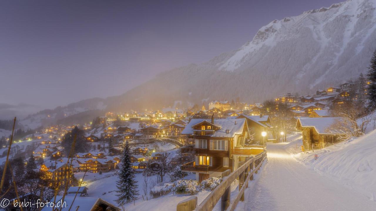 Alpenkraeuter Baeren Wengen