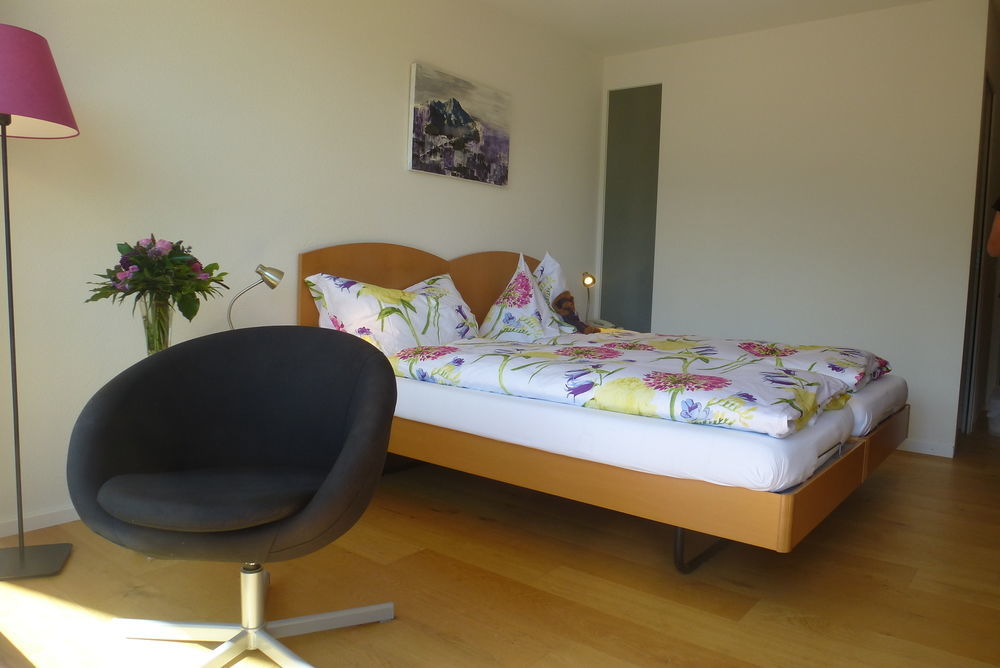 Hotel Alpenkraeuter Baeren Wengen
